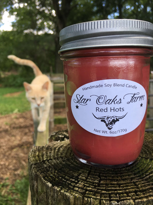 Red Hots Soy Blend Candle
