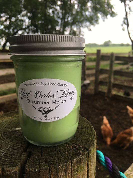 Cucumber Melon Soy Blend Candle